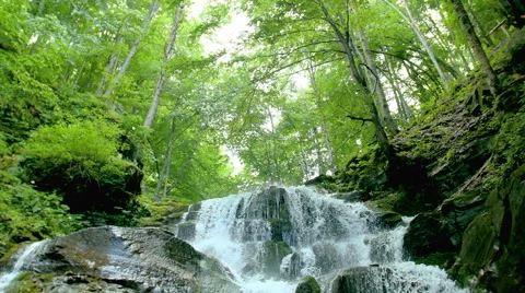 Cascade waterfall splash on stones in forest among mountains. Stock Footage 65487193