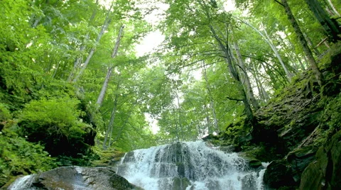 Cascade waterfall splash on stones in forest among mountains. 스톡 동영상 65489374