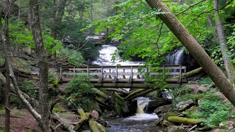 Cascade of waterfalls and crossing bridge in scenic Ricketts Glen state par.. Video stock 320284680