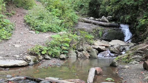 Cascade of waterfalls on a small mountain river. Vídeos de archivo 118368553