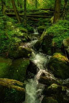 Cascades Flow Through Fallen Trees And Mossy Rocks In Great Smoky Mountains Foto stock