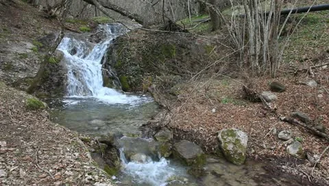 Cascades on a mountain river Stock Footage 10894451