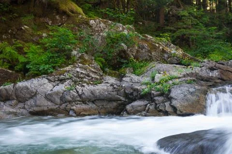 Cascades of mountain river Stock Photos