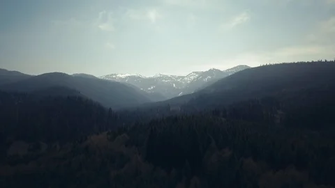 Cascades of the Pacific Northwest 動画素材 89182467