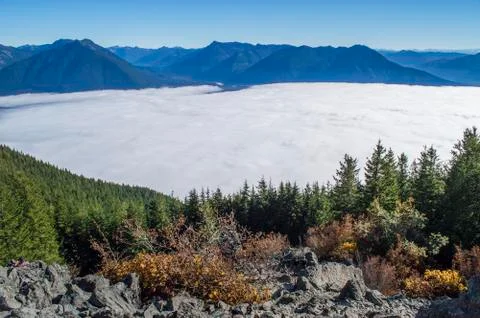 Cascades Stockfoto's