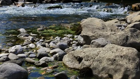 Cascades of a river Flowing And Splashes. Rocks covered with seaweed Stock Footage 93613614