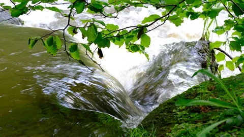 Cascades on a river in valley thurytal 스톡 동영상 126819567