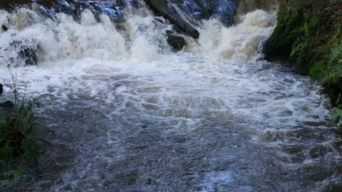 Cascades On The Rushing River Stream. Static Shot Stock Footage 289562236