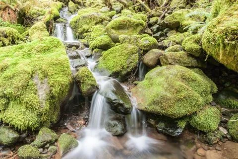 Cascades through moss covered rocks. Stock Photos