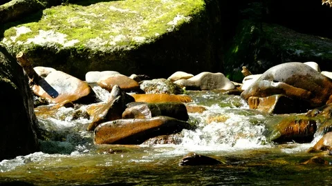 Cascades in the valley of the river aist Stock Footage 126776832