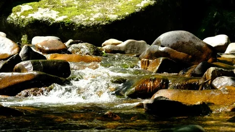 Cascades in the valley of the river aist Stock Footage 126776930