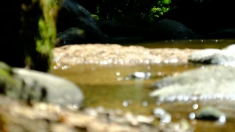 Cascades in the valley of the river aist Vidéo 126777092