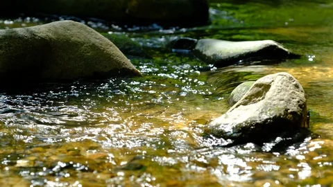 Cascades in the valley of the river aist 스톡 동영상 126777206