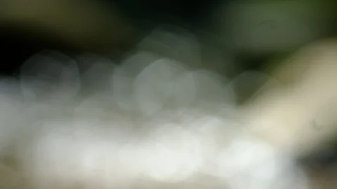 Cascades in the valley of the river aist Stock Footage 126777481