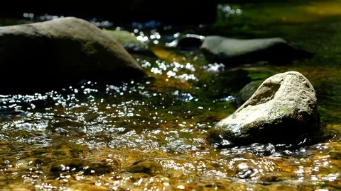 Cascades in the valley of the river aist Vídeo Stock 126777540