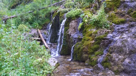Cascades of water fall from a sagging waterfall in a wilderness forest. 스톡 동영상 120358347