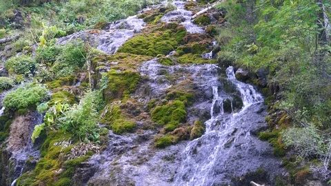 Cascades of water fall from a sagging waterfall in a wilderness forest. Stock Footage 120358573