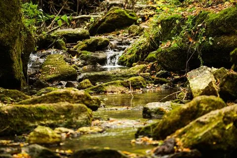 Cascading down a small mountain stream, the water runs over basalt boulders. A Stock Photos