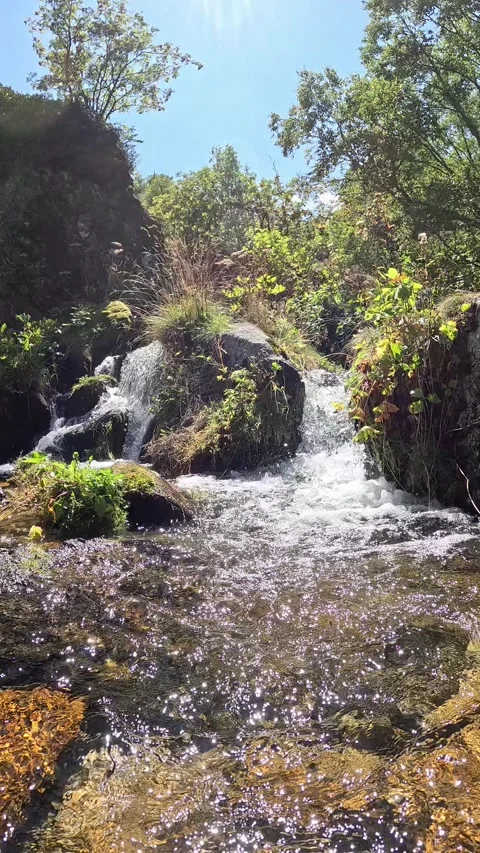 Cascading Forest Stream Flowing Over Rocks In Sunlight Stock Footage 341820529