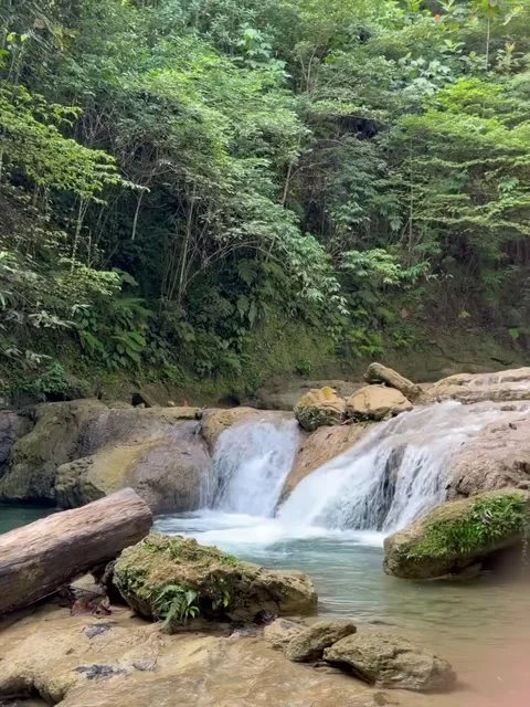 Cascading Forest Waterfall and Flowing River Stream Stock Footage 342267256