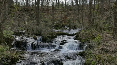 Cascading Forest Waterfall Stream Mill Springs Kentucky Tilting Shot Stock Footage 74509105