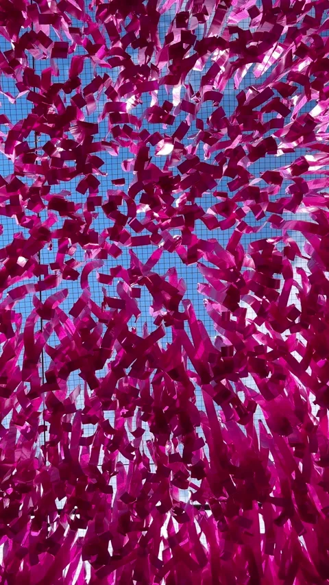Cascading Fuchsia Streamers Dance in the Wind, Offering a Playful and Energetic Stock Footage 316067761