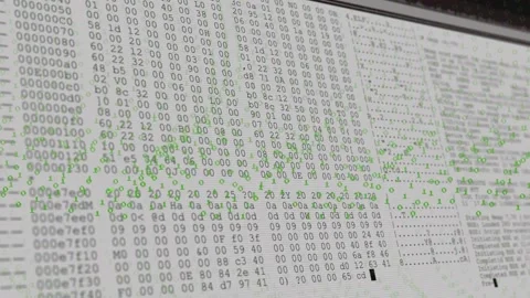 Cascading green binary rain starting monitor overlay, hex dump scrolling and Stock Footage 317260182