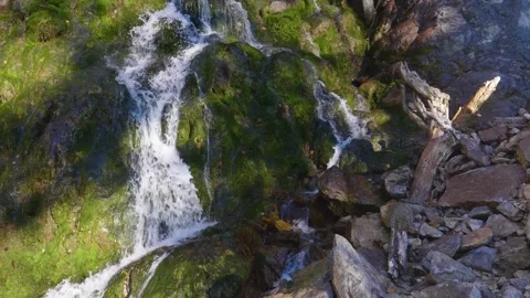 Cascading Mountain Stream and Mossy Rocks in North Caucasus, Russia Video stock 320855271