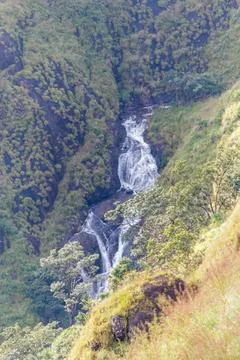 Cascading Mountain Stream and Waterfall Through Steep Green Slopes in Kerala Stock Photos