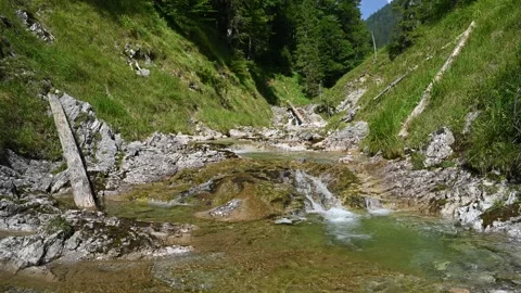 Cascading mountain stream with grass and wood on the sides 스톡 동영상 260843320