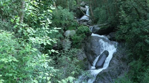 Cascading Mountain Stream in Lush Forest - Serene 4K Nature Stock Footage 312602603