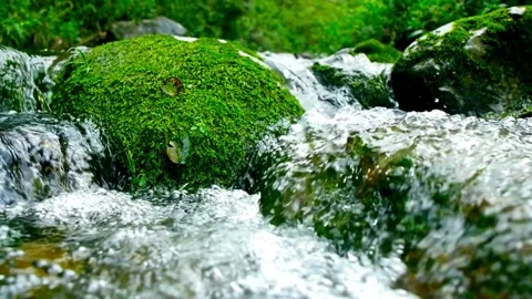 Cascading Mountain Stream, Lush Greenery, Flowing Water 動画素材 309545340