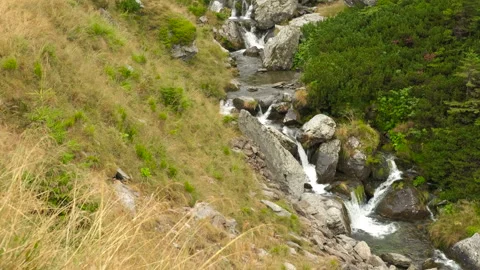 Cascading mountain stream in a lush landscape Stock Footage 295965183