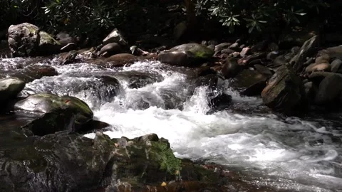 Cascading Mountain Stream in Slow Motion Video stock 138820919