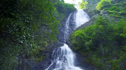 Cascading Mountain Waterfall and Flowing Stream in Lush Summer Forest Stock Footage 341915122