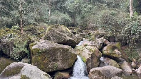 Cascading Mountain Waterfall Through Large Mossy Boulders Stock Footage 330617341
