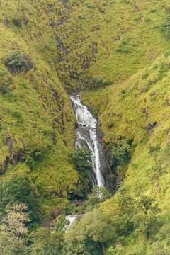 Cascading Mountain Waterfall Through Lush Green Kerala Slopes Stock Photos