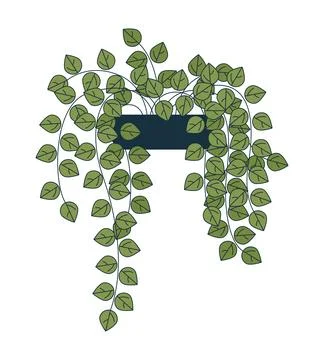Cascading pothos plant in pot 2D cartoon object Stock Illustration