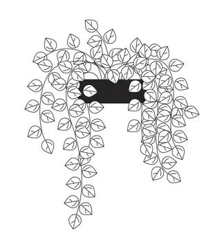 Cascading pothos plant in pot 2D line object Stock Illustration