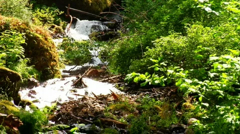 Cascading Rapids Stock Footage 313583