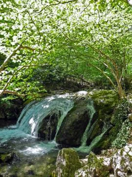 Cascading river with beautiful river threshold in the green spring forest. Ar Stock Photos