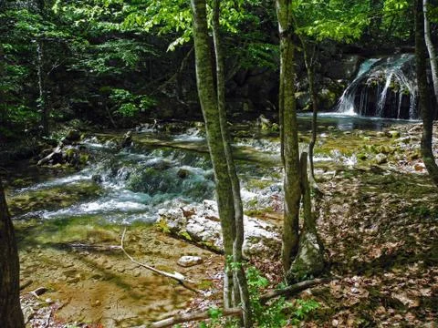 Cascading river with beautiful river thresholds in the green spring forest. C Stock Photos