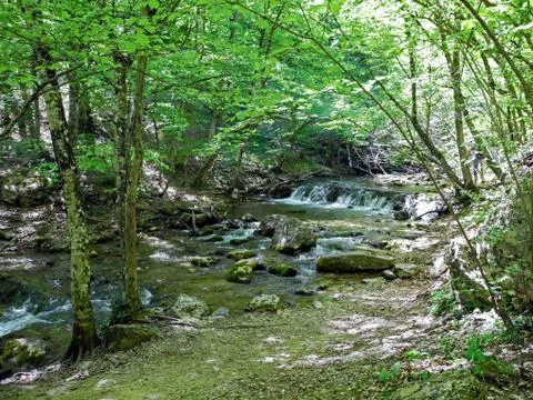 Cascading river with beautiful river thresholds near the forest trail in the  Stock Photos