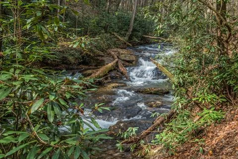 Cascading river flowing through the forest Stock Photos