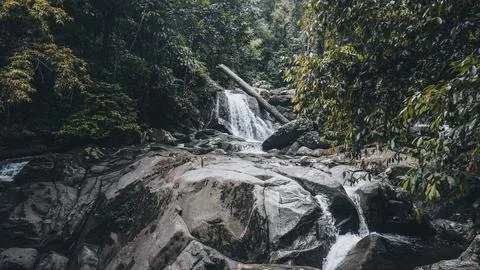 Cascading River in Jungle Stock Photos
