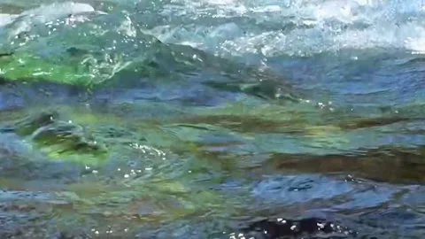 Cascading River Rapids Glisten in Sunlight at Yellowstone National Park Stock Footage 327014652