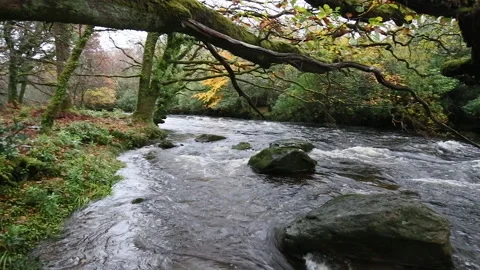 Cascading river stream near the town of Lauragh, Ireland Stock Footage 140618633