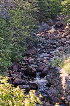 A cascading stream that flows into the ocean. Stock Photos