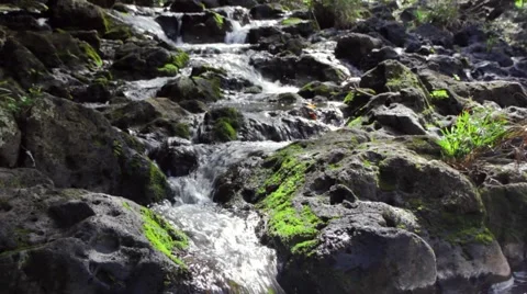 Cascading Stream Stock Footage 3980703