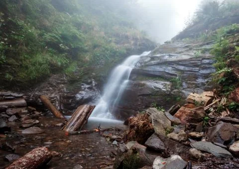 Cascading Stream in mountain forest Stock Photos